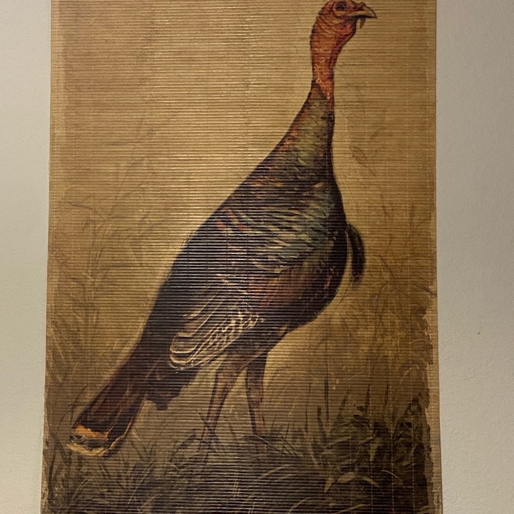 Turkey wall hanging